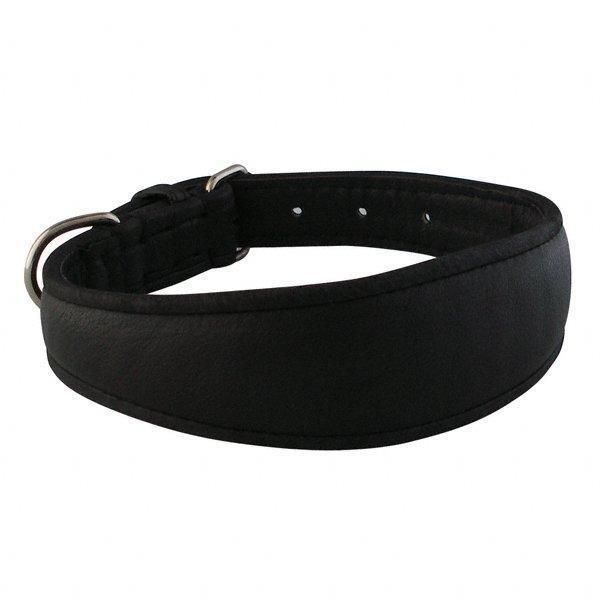 Windhund-Halsband (Whippet), Leder schwarz